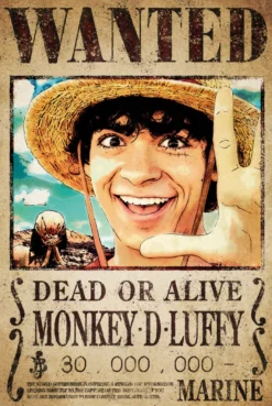 One Piece Poster Wanted Monkey D. Luffy