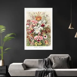 Orchideen Poster Ernst Haeckel Kunstformen der Natur,Tafel 74