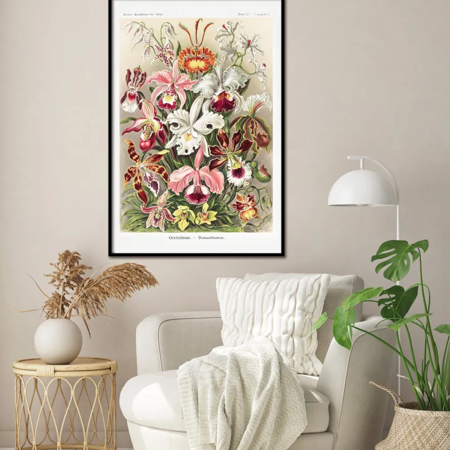 Orchideen Poster Ernst Haeckel Kunstformen der Natur,Tafel 74