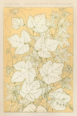 Owen Jones Poster Blätter aus der Natur Nr.2