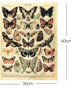 Papillons Kunstdruck Adolphe Millot