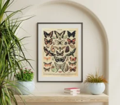 Papillons Kunstdruck Adolphe Millot