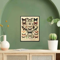 Papillons Kunstdruck Adolphe Millot