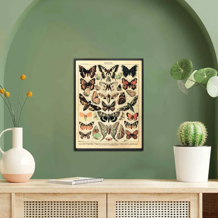 Papillons Kunstdruck Adolphe Millot