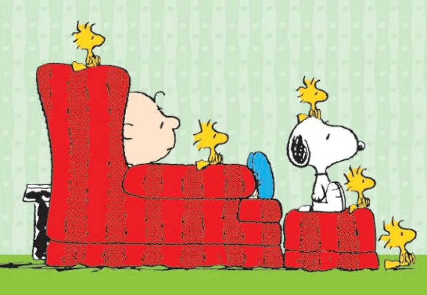 Peanuts Charlie Brown, Snoopy & Woodstocks