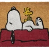 Peanuts Fußmatte Snoopy und Woodstock