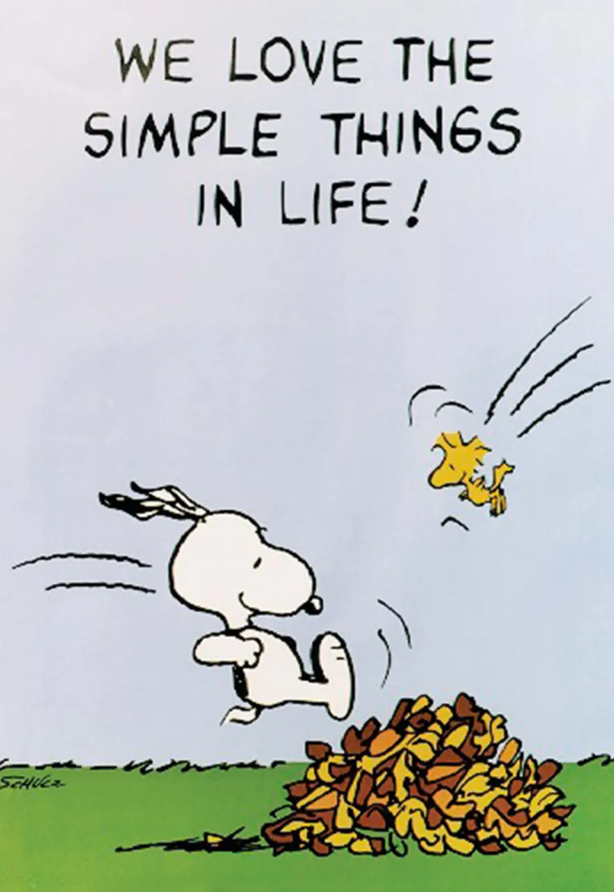 Peanuts Poster We Love The Simple Things In Life!