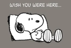 Peanuts Postkarte Wish you were Here..