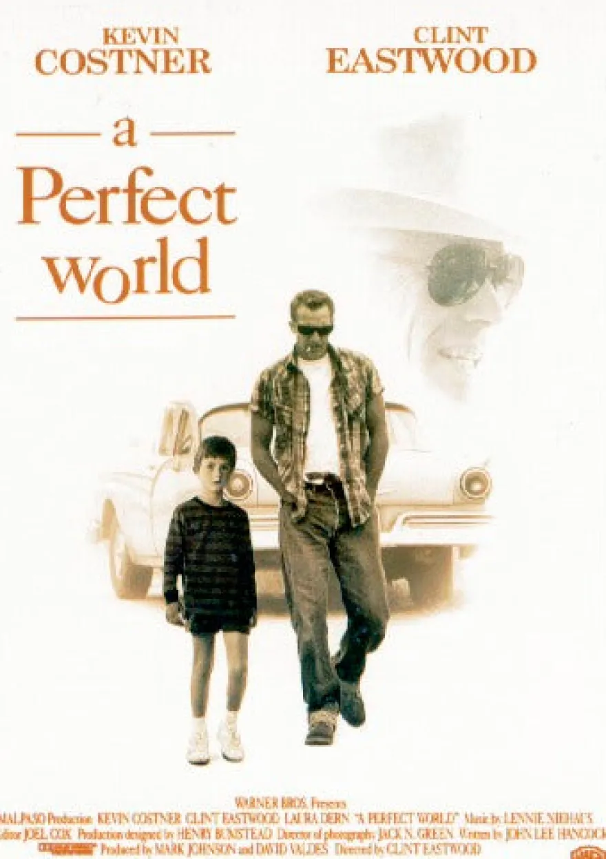 Perfect World Poster