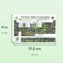Periodic Table Of Cannabis Periodensystem der Hanfsorten