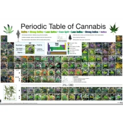 Periodic Table Of Cannabis Periodensystem der Hanfsorten