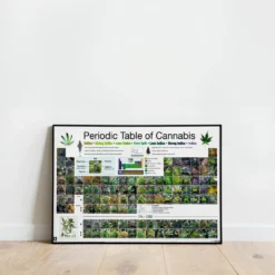 Periodic Table Of Cannabis Periodensystem der Hanfsorten