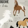 Pferde dieser Erde Poster Die bekanntesten Pferderassen