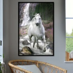 Pferde Poster Schimmel