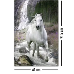 Pferde Poster Schimmel