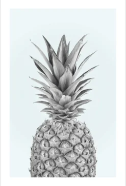 Pineapple Poster Ananas