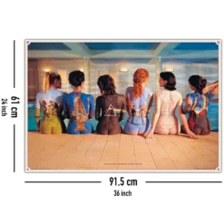 Pink Floyd Poster Bodypainting Album Covers