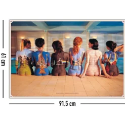 Pink Floyd Poster Bodypainting Album Covers