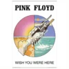 Pink Floyd Poster Wish You Were Here Symbol