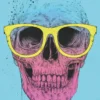 Pop Art Skull Poster