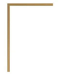 Posterrahmen 61 x 91,5 cm gold