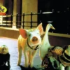 Postkarte Babe - Pig in the City
