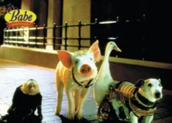 Postkarte Babe - Pig in the City