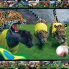Postkarte Brasilien
