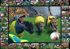 Postkarte Brasilien