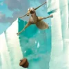 Postkarte Ice age 2 - the Meltdown