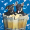 Postkarte Keith Kimberlin 2 Hunde in einer Holzwanne