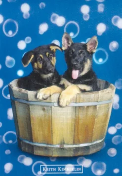 Postkarte Keith Kimberlin 2 Hunde in einer Holzwanne