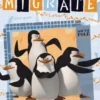 Postkarte Madagascar