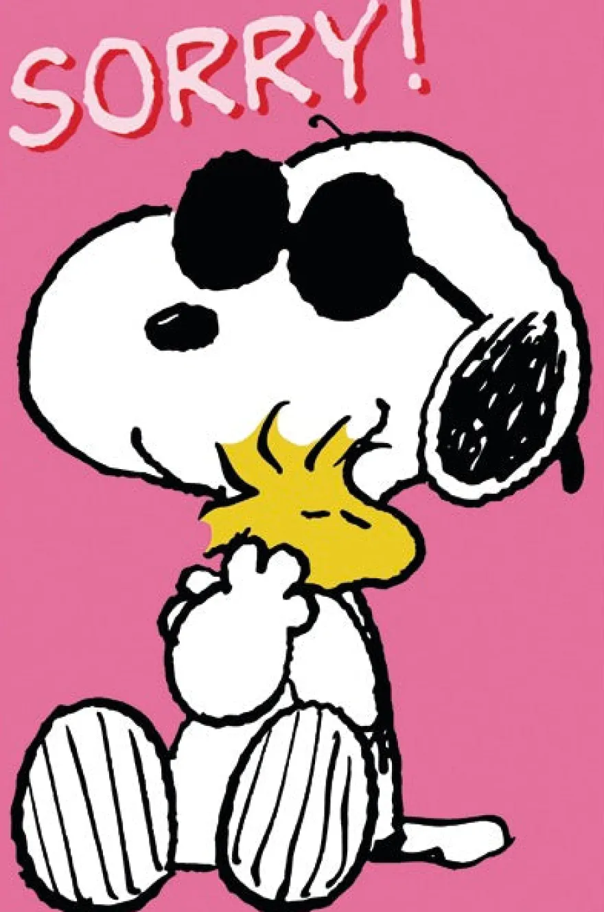 Postkarte Peanuts - Sorry