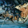 Postkarte Starship Troopers