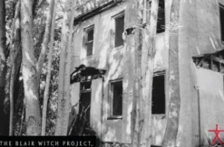 Postkarte The Blair Witch Project