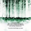 Postkarte The Blair Witch Project