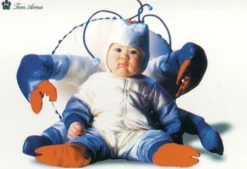 Postkarte Tom Arma Baby in Krabbenkostüm