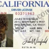 Pulp Fiction Jules Winnfield Drivers Licence Führerschein