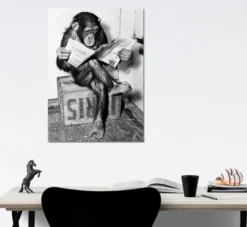 Schimpanse liest Zeitung Chimpanzee reading newspaper