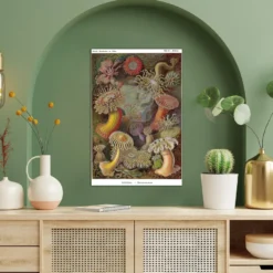 Seeanemonen Poster E. Haeckel Kunstformen der Natur,Tafel 49
