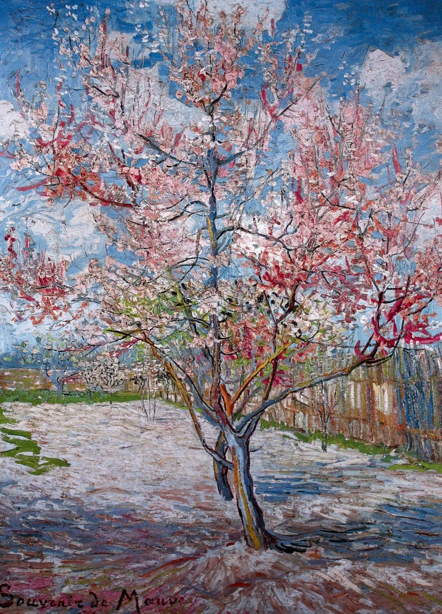 Souvenir de Mauve Poster Vincent Van Gogh