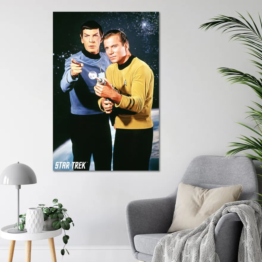 Star Trek Poster Kirk & Spock
