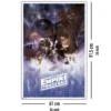 Star Wars Episode V Poster The Empire Strikes Back