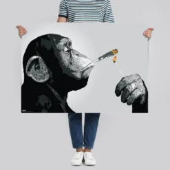 Steez Poster Monkey Joint Time