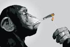 Steez Poster Monkey Joint Time