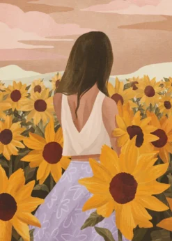 Sunflower Evenings