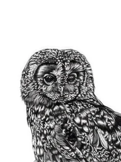 Tawny Owl Kunstdruck Eule Lucy Francis