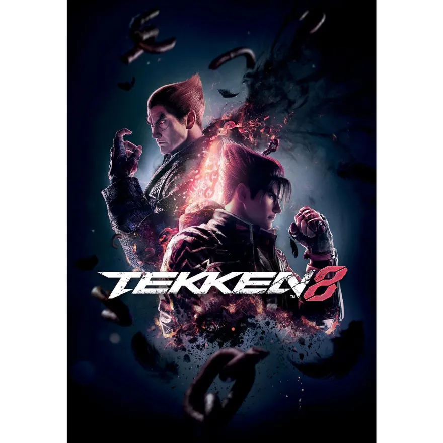 Tekken 8 Poster Key Art Street Fighter