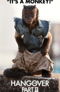 The Hangover 2 Poster Monkey